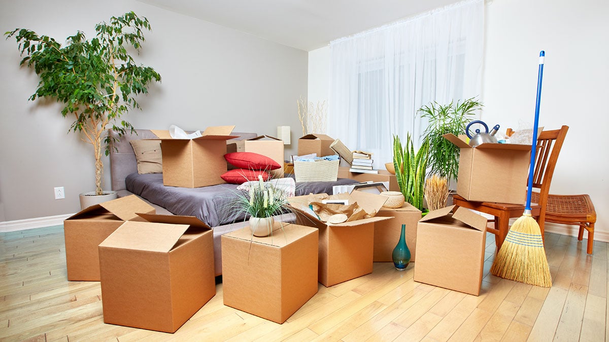The Ultimate Stress-Free Moving Experience Guide